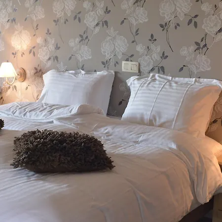 فندق مبيت وإفطار Nieuwhof 4*
